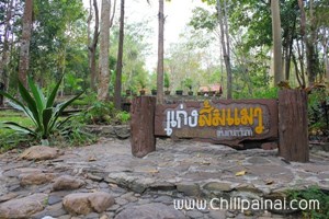 แก่งส้มแมวสวนป่าสิริกิติ์ 