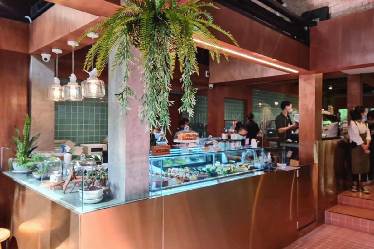 10 คาเฟ่เส้นราชพฤกษ์ ร้านสวย อาหารอร่อย เดินทางง่าย อัปเดต 2566