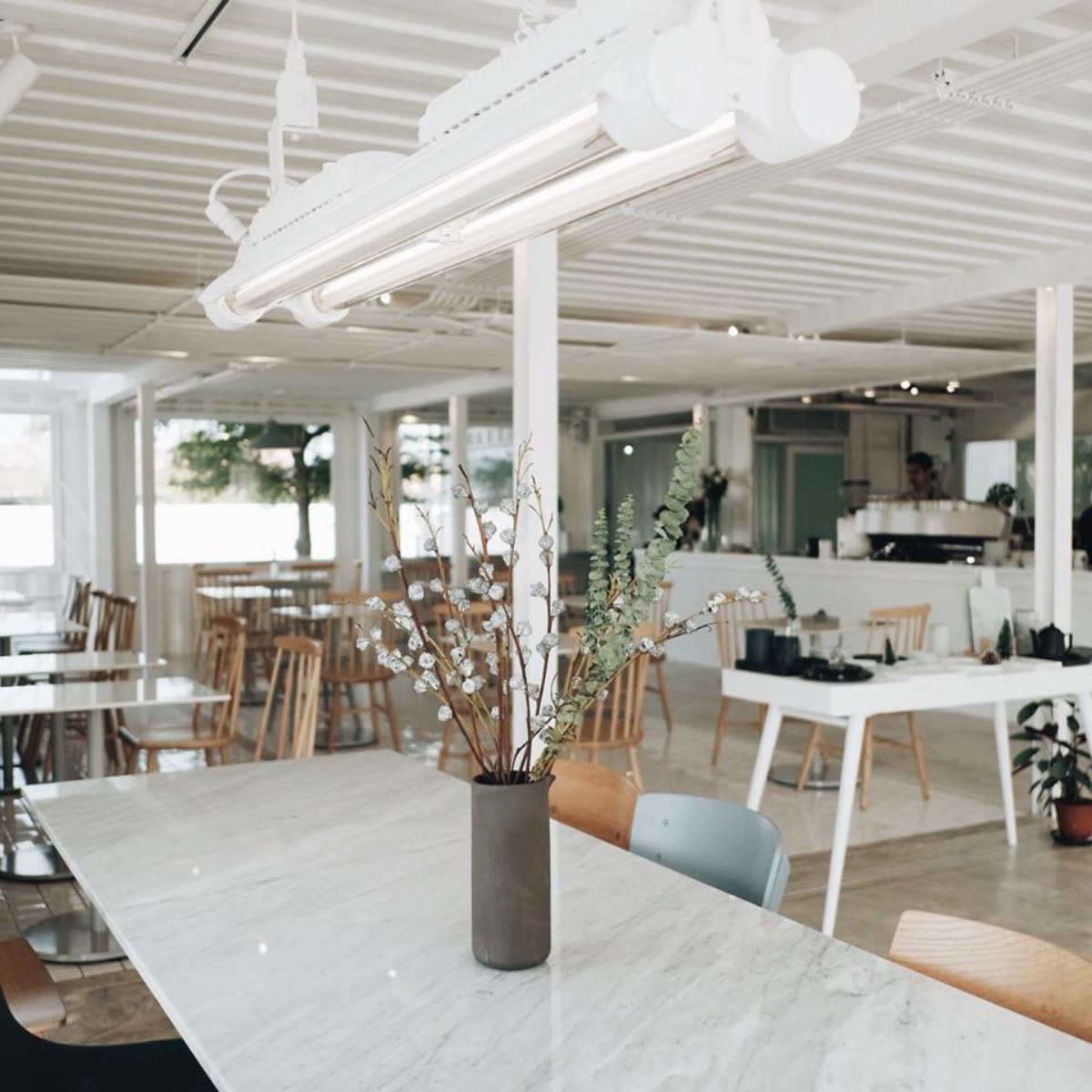 10 คาเฟ่เส้นราชพฤกษ์ ร้านสวย อาหารอร่อย เดินทางง่าย อัปเดต 2566