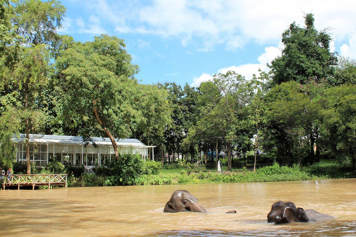 Sappraiwan Elephant Resort - จุดเช็คอินพิษณุโลก (อัพเดท2021)