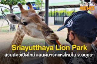 แลนด์มาร์คแห่งใหม่! Sriayutthaya Lion Park สวนสัตว์เปิดใหม่ จ.อยุธยา