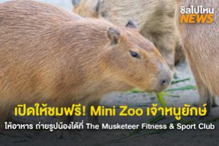 เปิดให้ชมฟรี! Mini Zoo เจ้าหนูยักษ์คาปิบาร่า ให้อาหาร ถ่ายรูปน้องได้ที่ The Musketeer Fitness & Sport Club