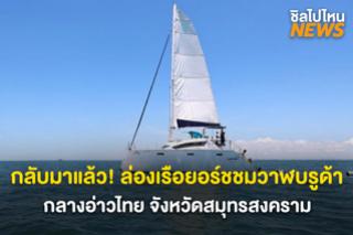 กลับมาแล้ว! ล่องเรือยอร์ชชมวาฬบรูด้า กลางอ่าวไทย จังหวัดสมุทรสงคราม