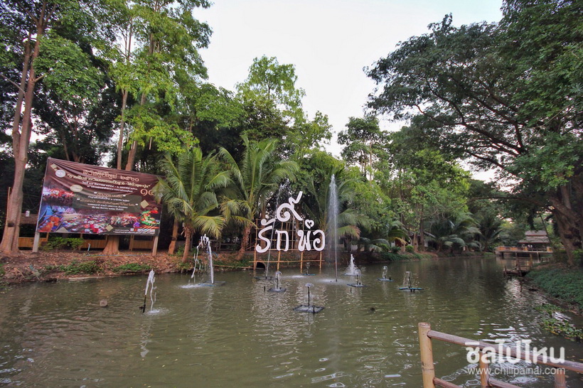 2016-12-26 11:26:53_ตลาดน้ำ10_resize.JPG