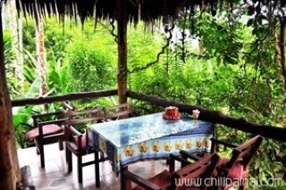 ไทย เฮิร์บ