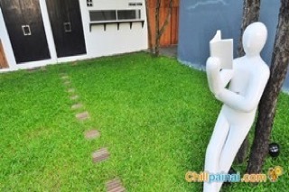 เดอะ ไลบรารี่ เดอะ ไลบรารี่