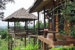 ปายนาปายตา ปายนาปายตา