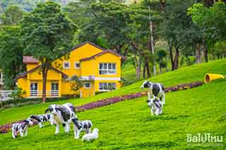 ภูแก้ว รีสอร์ท แอนด์ แอดเวนเจอร์ ปาร์ค ภูแก้ว รีสอร์ท แอนด์ แอดเวนเจอร์ ปาร์ค