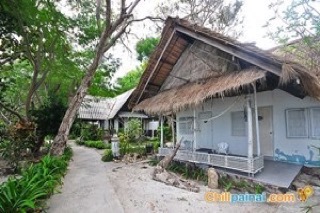 เสม็ดวิลล์ เสม็ดวิลล์