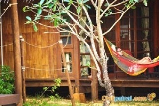 มังกี้ ไอส์แลนด์ มังกี้ ไอส์แลนด์