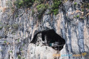 เกาะเหลาลาดิง (เกาะรังนก)