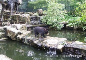 สวนสัตว์ดุสิต (เขาดิน) สวนสัตว์ดุสิต (เขาดิน)