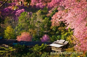 ขุนช่างเคี่ยน