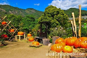 สถานีเกษตรหลวงอินทนนท์ สถานีเกษตรหลวงอินทนนท์