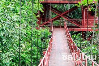 สวนพฤกษศาสตร์สากลภาคใต้ (ทุ่งค่าย)