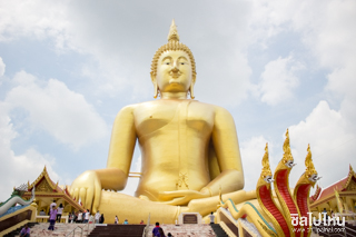 วัดม่วง