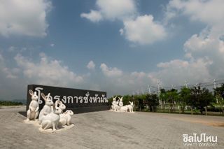 โครงการชั่งหัวมันตามพระราชดำริ