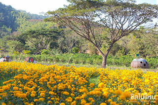 สีสันชาวดอย สีสันชาวดอย