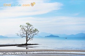อ่าวตั๋น