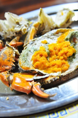 แดงอาหารทะเล (Dang seafood)  อัมพวา สมุทรสงคราม