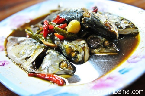 แดงอาหารทะเล (Dang seafood)  อัมพวา สมุทรสงคราม