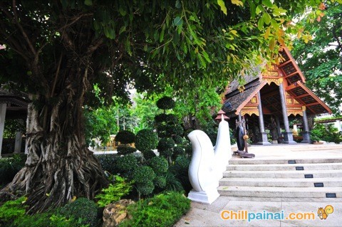 คุ้มพญา รีสอร์ท แอนด์ สปา (Khum Phaya Resort & Spa)  เชียงใหม่