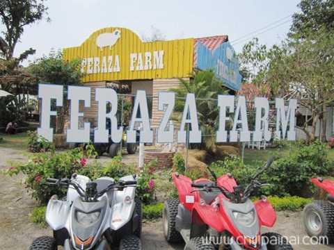 เฟอราซ่าฟาร์ม สวนผึ้ง (Feraza Farm)