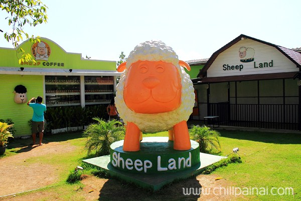 Sheep Land เขาใหญ่