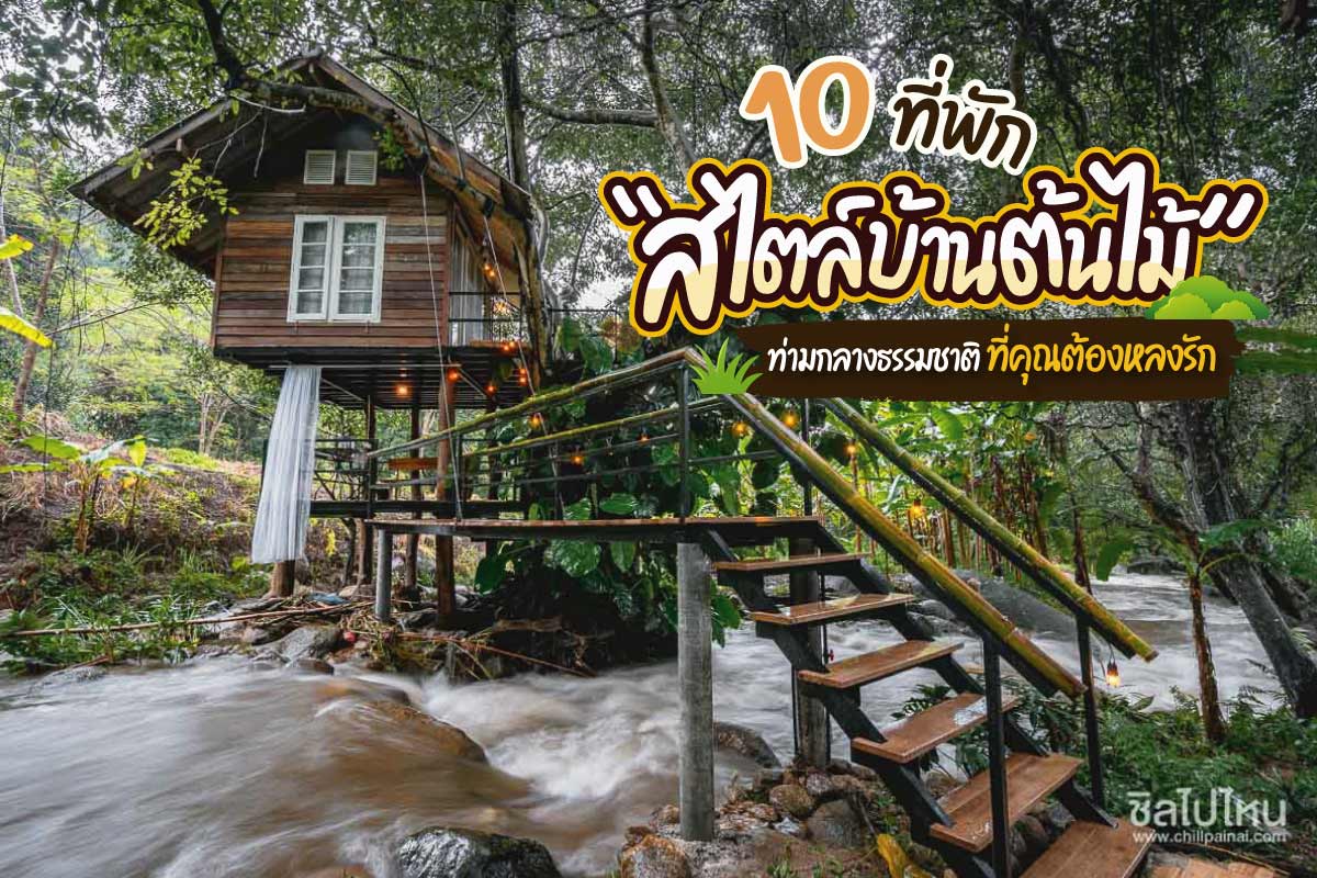 10 ที่พักสไตล์บ้านต้นไม้ทั่วไทย ท่ามกลางธรรมชาติที่คุณต้องหลงรัก อัพเดทใหม่ 2021 - ชิลไปไหน