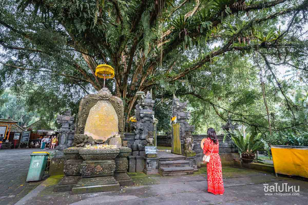 10 จุดเช็คอินบาหลี ที่เที่ยวสวย ธรรมชาติสุดอลัง วัฒนธรรมดีงาม