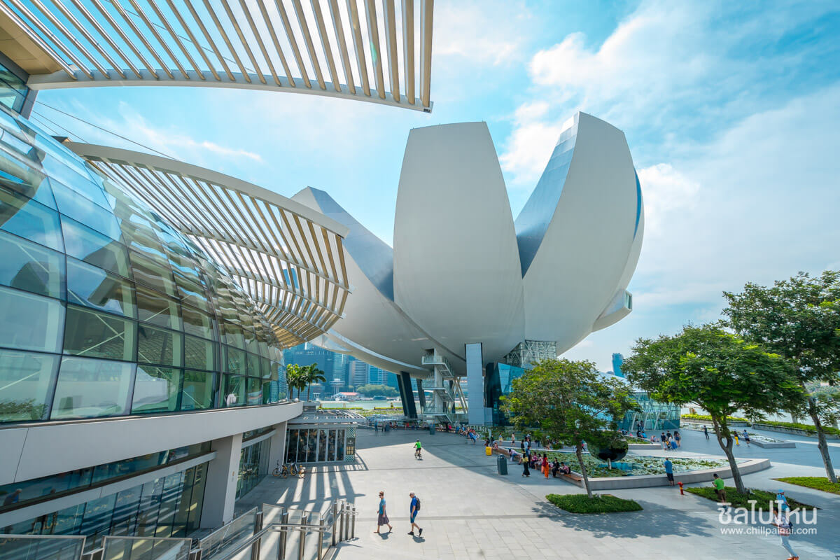 ArtScience Museum - 20 จุดเช็คอินสิงคโปร์