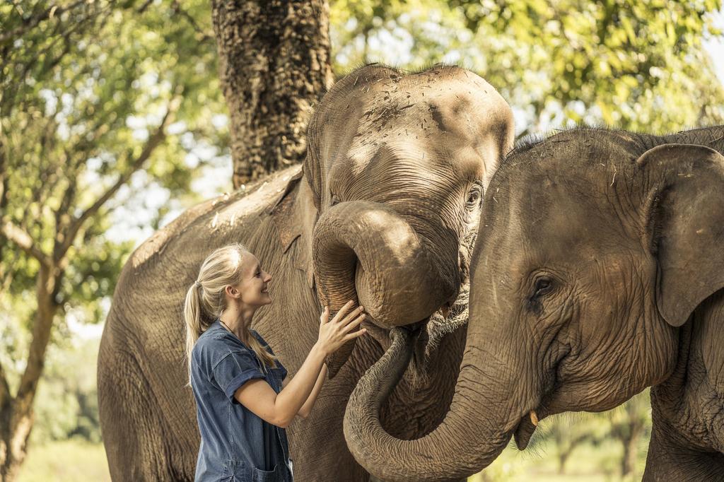 Anantara Golden Triangle Elephant Camp & Resort ( อนันตรา โกลเด้น ไทรแองเกิ้ล เอเลแฟนท์ แคมป์ แอนด์ รีสอร์ท),10 ที่พักสไตล์แคมป์ปิ้งสุดหรู พร้อมวิวสุดปัง อัพเดทล่าสุดปี 2021