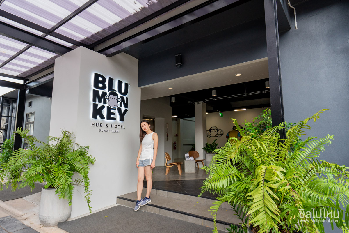 Blu Monkey Hub & Hotel