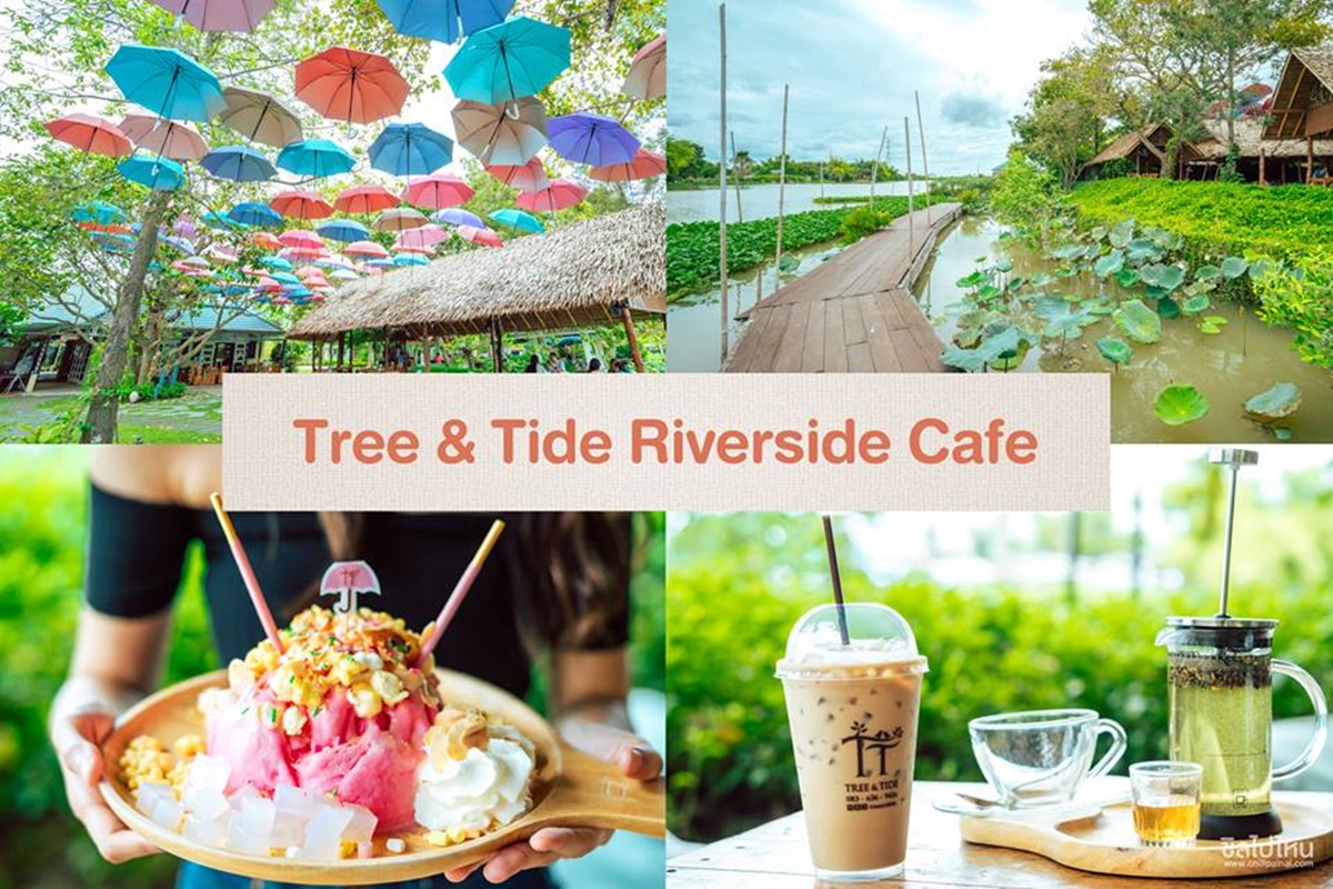 คาเฟ่นครปฐม Tree&Tide Riverside Café  
