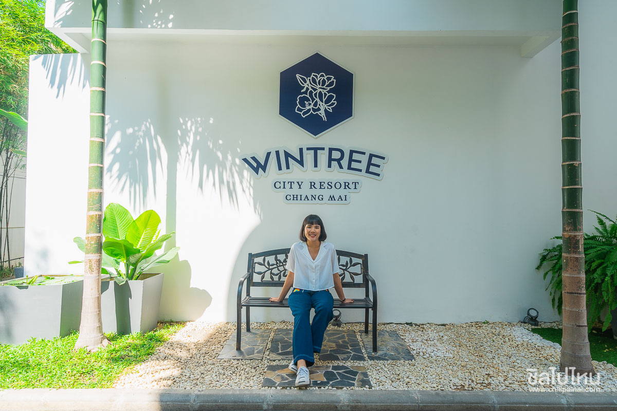 พักหรูใจกลางเมืองเชียงใหม่ ที่ Wintree City Resort Chiang Mai - ชิลไปไหน