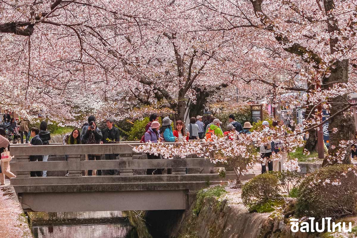 15 ที่เที่ยวเกียวโต เมืองสวยแห่งคันไซพร้อมปักหมุดจุดชมใบไม้แดงและซากุระ อัปเดตใหม่รับปี 2566