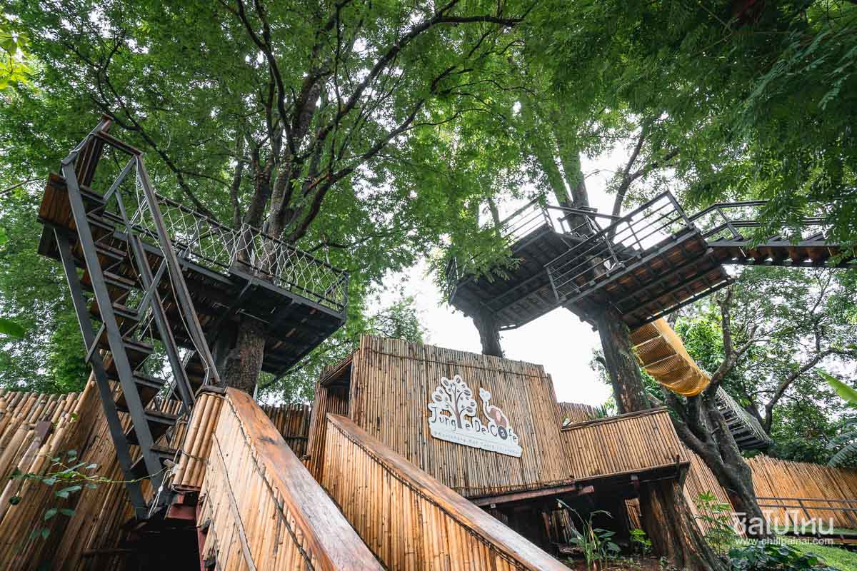 20 คาเฟ่เชียงใหม่ ร้านสวย วิวดี ถ่ายรูปได้ตลอดปี,Jungle De Cafe Kuet Chang