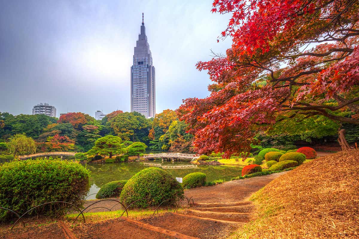 15 ที่เที่ยวชมใบไม้เปลี่ยนสีที่โตเกียว ญี่ปุ่น ที่ต้องบินไปชมช่วงปลายปี
