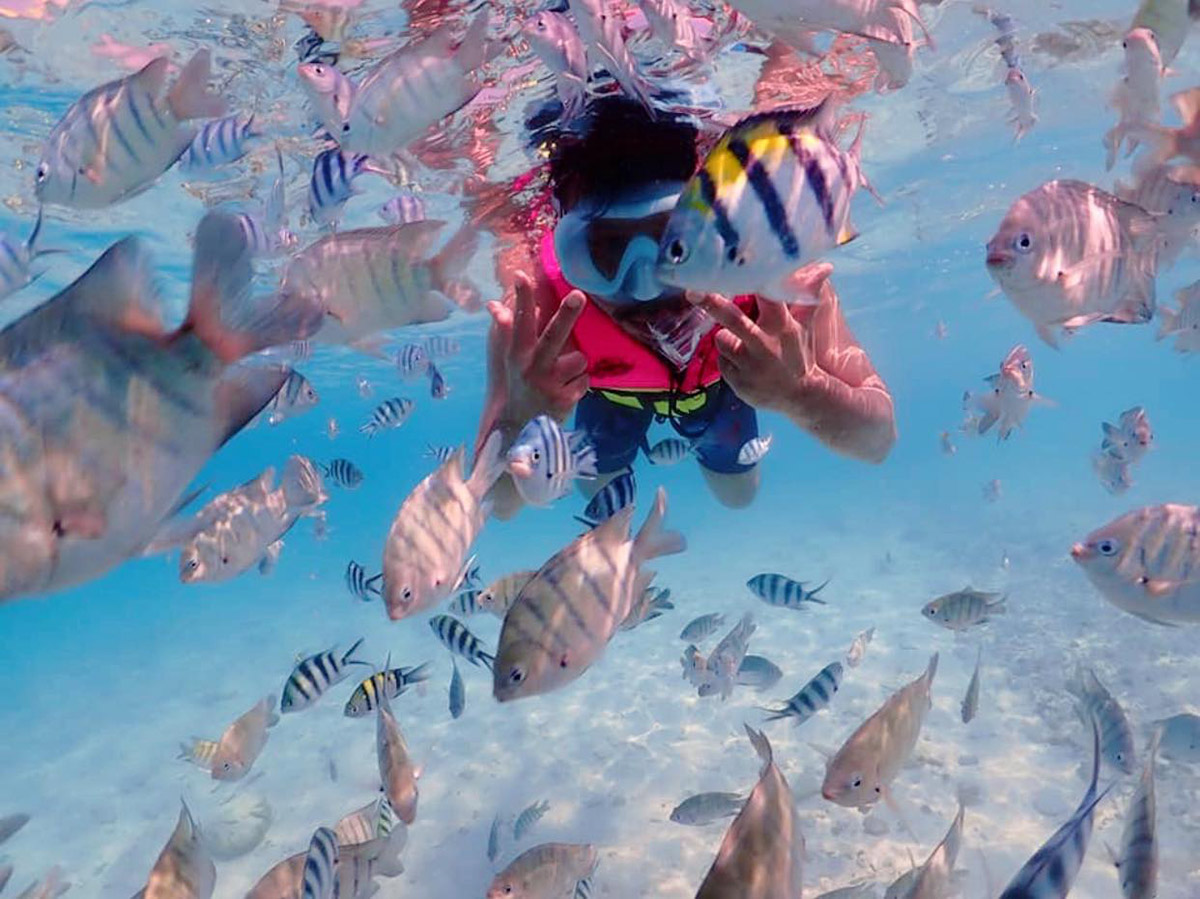 Sea Sky Snorkeling ดำน้ำแสมสาร - ทริปดำน้ำอ่าวแสมสาร สัตหีบ ชลบุรี