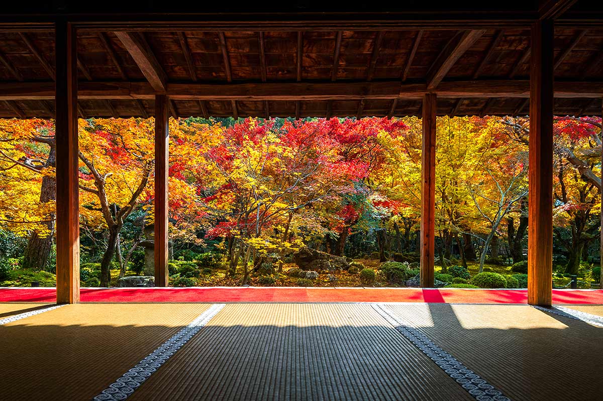ชี้เป้า 15 สถานที่ชมใบไม้แดงญี่ปุ่น  พร้อมพยากรณ์ใบไม้แดงญี่ปุ่นปี 2022