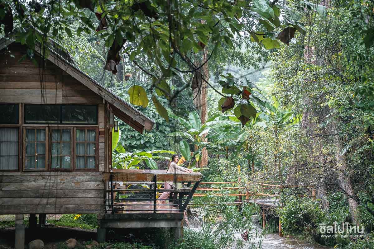  บ้านธารกล่อม &The River Whisper -ที่พักสไตล์บ้านต้นไม้ทั่วไทย