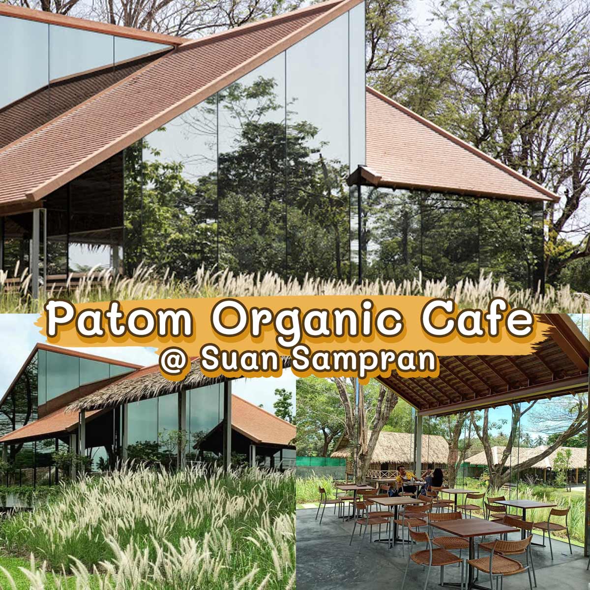 Patom Organic Café คาเฟ่นครปฐม