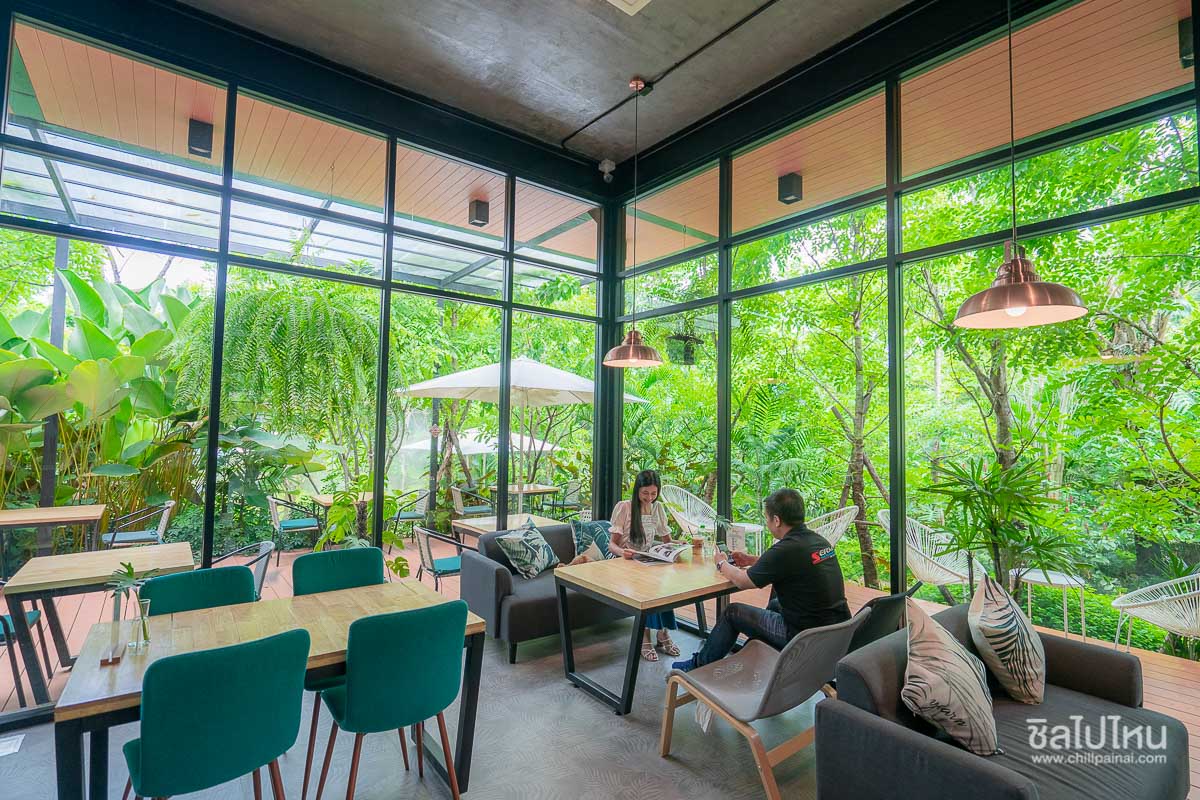 Rainforest Café กาญจนบุรี