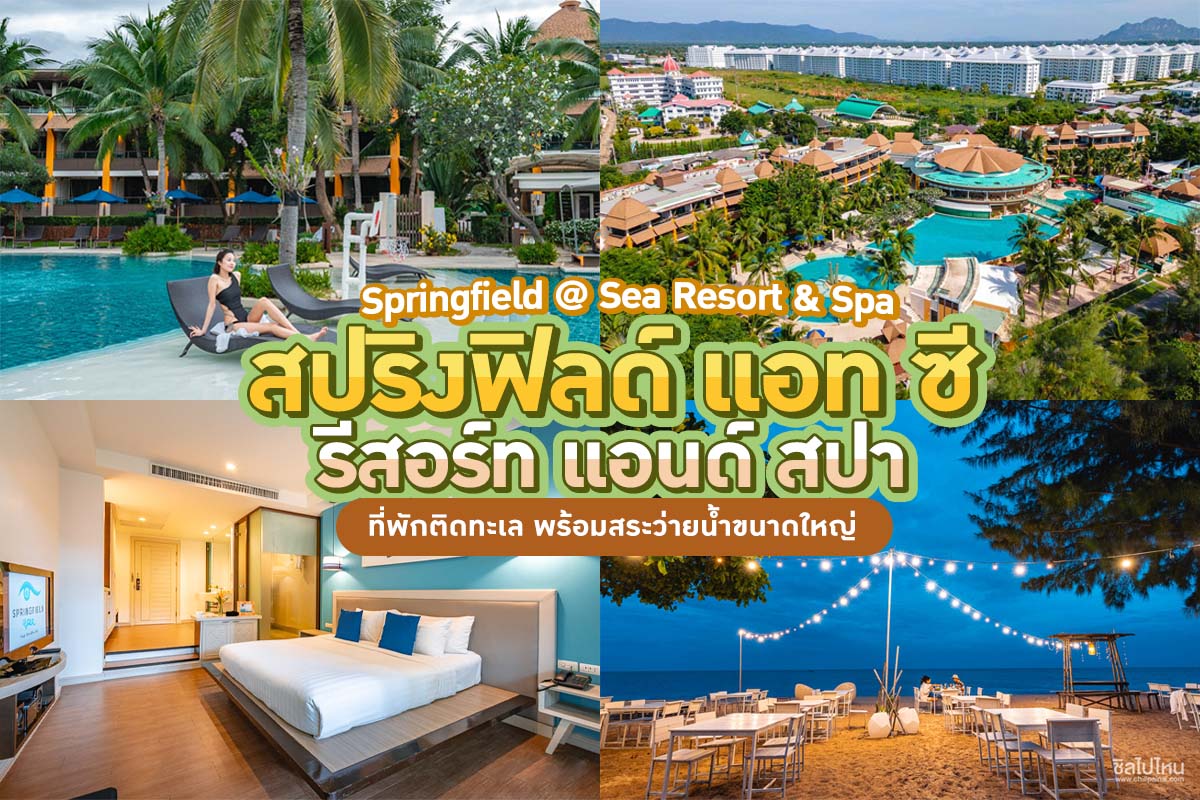 Springfield @ Sea Resort & Spa (สปริงฟิลด์ แอท ซี รีสอร์ท แอนด์ สปา) ที่พักติดทะเล พร้อมสระว่ายน้ำขนาดใหญ่
