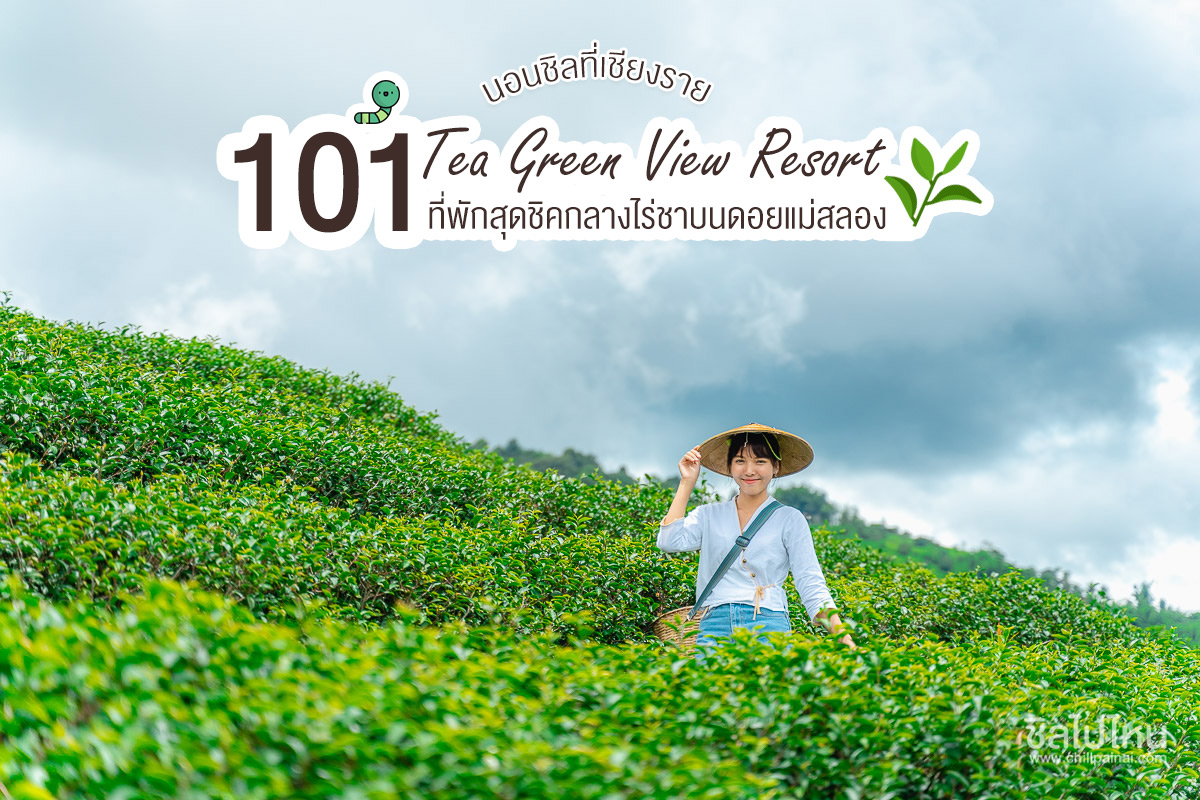 พักผ่อนที่เชียงรายกับ 101 Tea Green View Resort ที่พักสุดชิคกลางไร่ชาบนดอยแม่สลอง