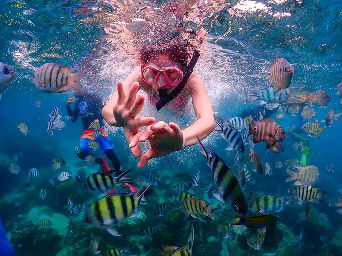 Dong Snorkeling - ทริปดำน้ำอ่าวแสมสาร สัตหีบ ชลบุรี