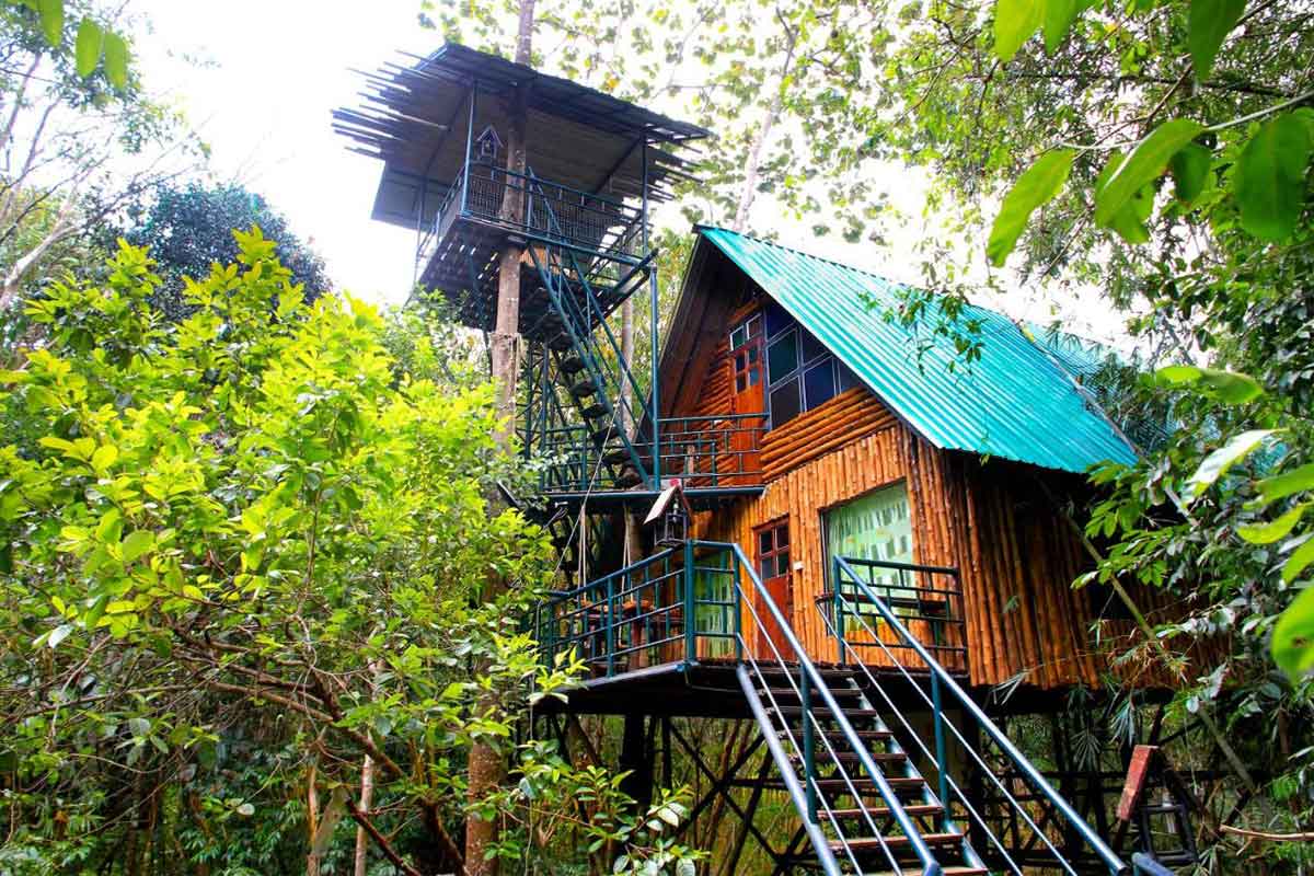 Khaosok Treehouse Resort -ที่พักสไตล์บ้านต้นไม้ทั่วไทย