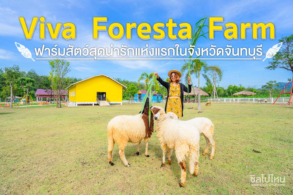 วีว่า ฟอเรสต้า ฟาร์ม (Viva Foresta Farm) จันทบุรี