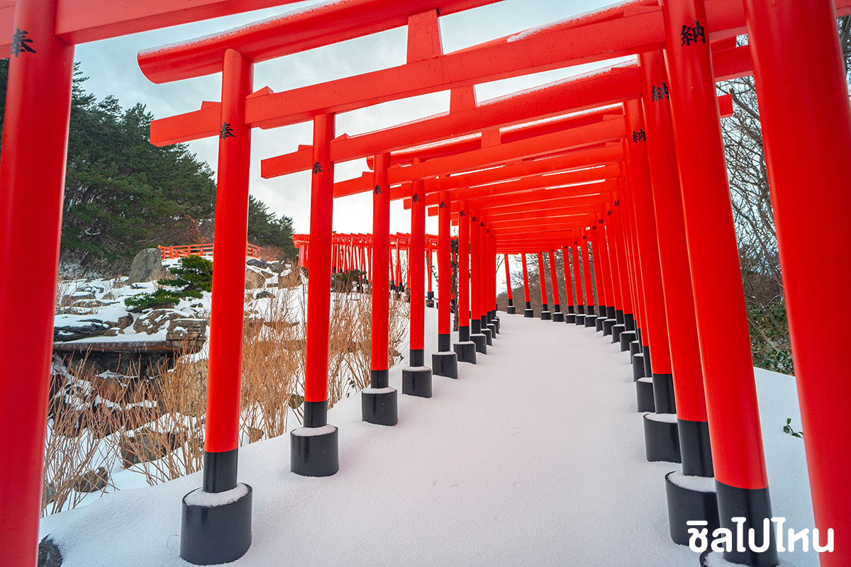 ทริปเที่ยวญี่ปุ่น 4 วัน 3 คืนเส้นทางโตเกียว (Tokyo) - อาโอโมริ (Aomori) สัมผัสหิมะแรกรับปี 2566