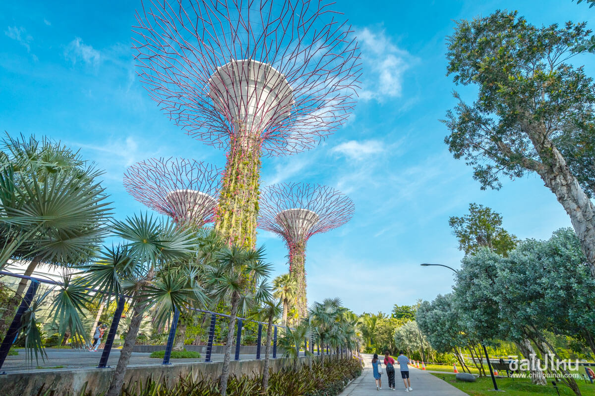 GARDEN BY THE BAY